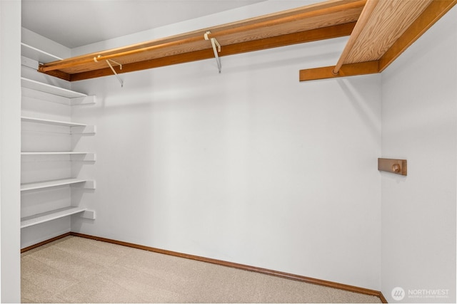 5040 Mill Pond Loop SE, Auburn, WA 98092 - walk in closet with light colored carpet