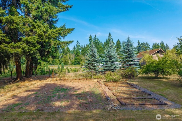 4119 72nd St E, Tacoma, WA 98443 - view of yard featuring a garden