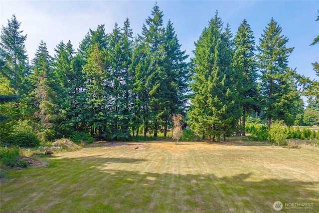 4119 72nd St E, Tacoma, WA 98443 - view of grassy yard