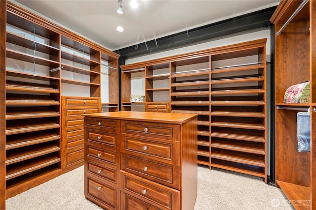 4119 72nd St E, Tacoma, WA 98443 - spacious closet featuring light carpet