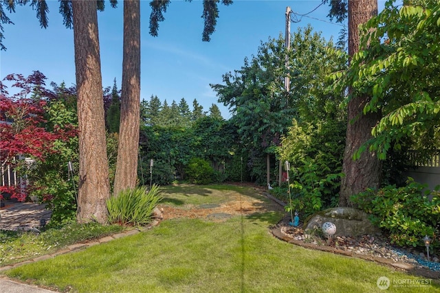 4119 72nd St E, Tacoma, WA 98443 - view of grassy yard