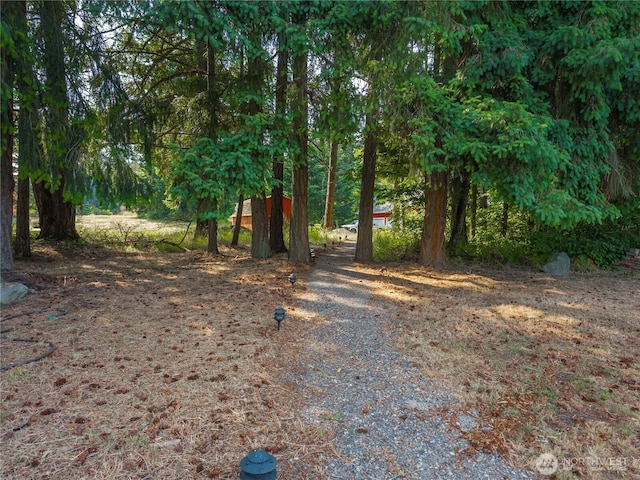 4119 72nd St E, Tacoma, WA 98443 - view of yard