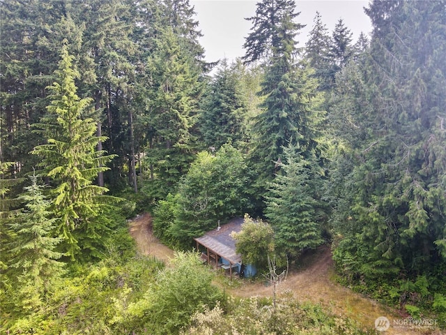 11422 Leschi Cir, Anderson Island, WA 98303 - view from above of property featuring a heavily wooded area