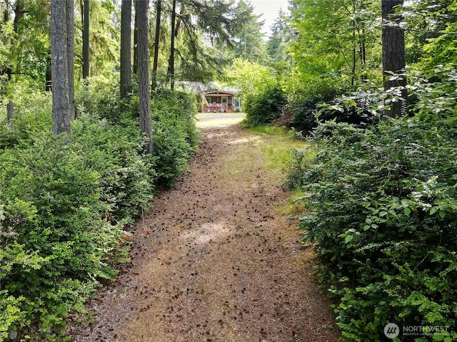 11422 Leschi Cir, Anderson Island, WA 98303 - view of yard with a wooded view