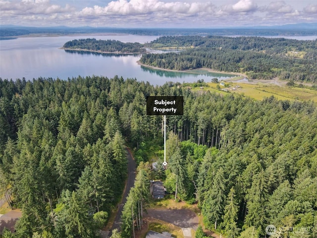 11422 Leschi Cir, Anderson Island, WA 98303 - aerial view of property's location with a heavily wooded area and a large body of water