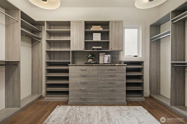 1918 94th Ave NE, Clyde Hill, WA 98004 - walk in closet featuring dark wood-style flooring