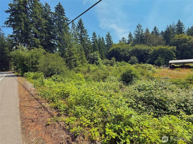 17825 SE Auburn-Black Diamond Rd, Auburn, WA 98092 - photo 25