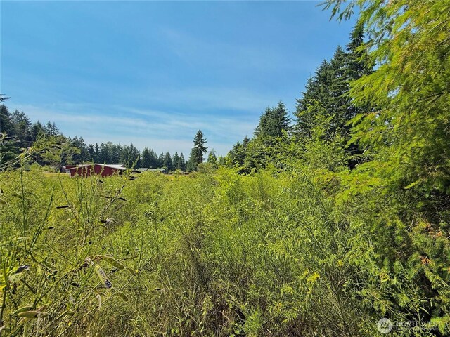 17825 SE Auburn-Black Diamond Rd, Auburn, WA 98092 - photo 32