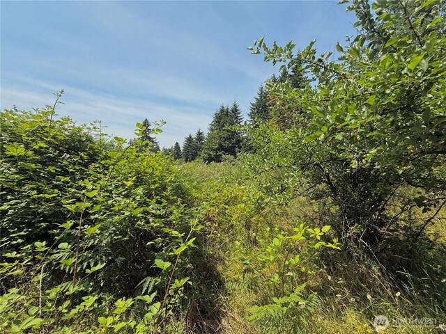 17825 SE Auburn-Black Diamond Rd, Auburn, WA 98092 - photo 26