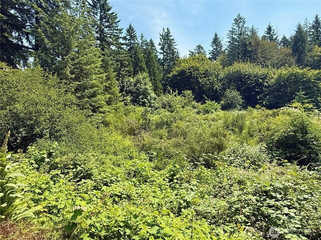 17825 SE Auburn-Black Diamond Rd, Auburn, WA 98092 - photo 8