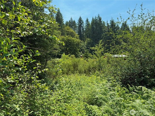 17825 SE Auburn-Black Diamond Rd, Auburn, WA 98092 - photo 30