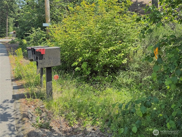 17825 SE Auburn-Black Diamond Rd, Auburn, WA 98092 - photo 31
