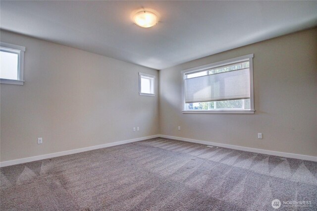 846 Katelyn Ct, Burlington, WA 98233 - photo 19