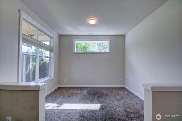 846 Katelyn Ct, Burlington, WA 98233 - photo 29