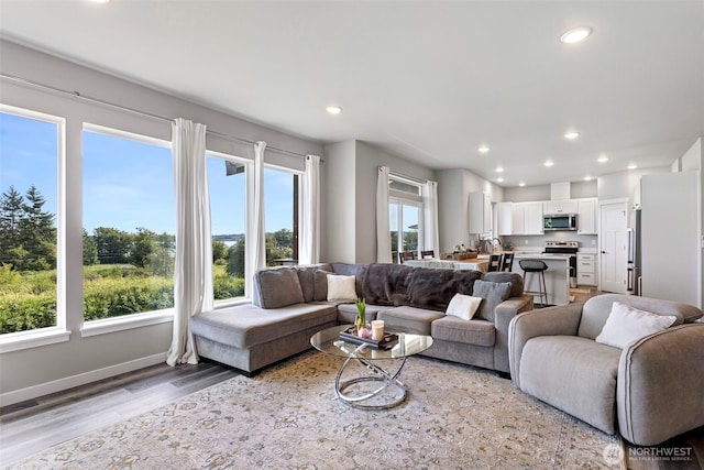 1575 Kingsley Ave, Blaine, WA 98230 - living room featuring wood finished floors and recessed lighting
