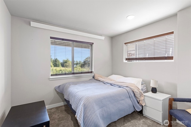 1575 Kingsley Ave, Blaine, WA 98230 - bedroom featuring carpet floors and baseboards