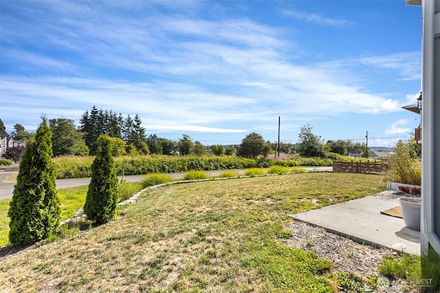 1575 Kingsley Ave, Blaine, WA 98230 - view of green lawn