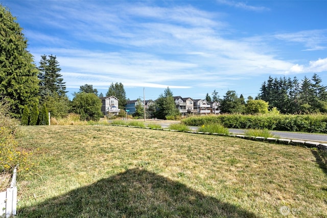 1575 Kingsley Ave, Blaine, WA 98230 - view of green lawn