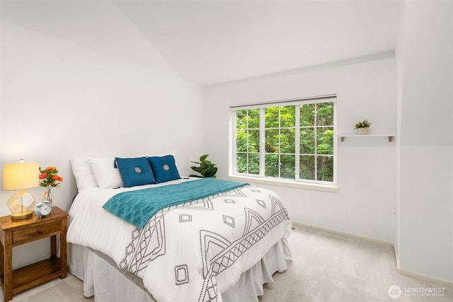 18223 NE 95th Way Unit 102, Redmond, WA 98052 - bedroom featuring carpet floors and lofted ceiling
