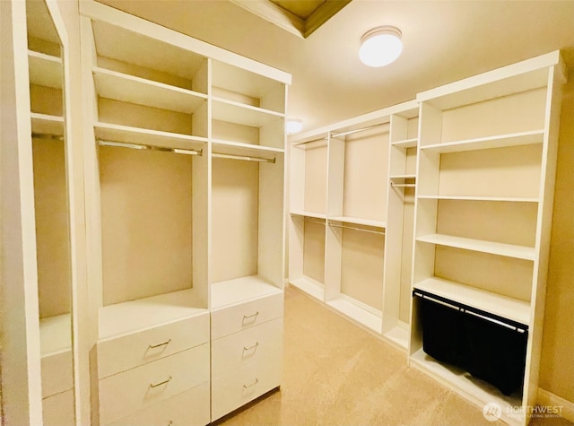 6802 156th Pl NE, Redmond, WA 98052 - walk in closet featuring light colored carpet