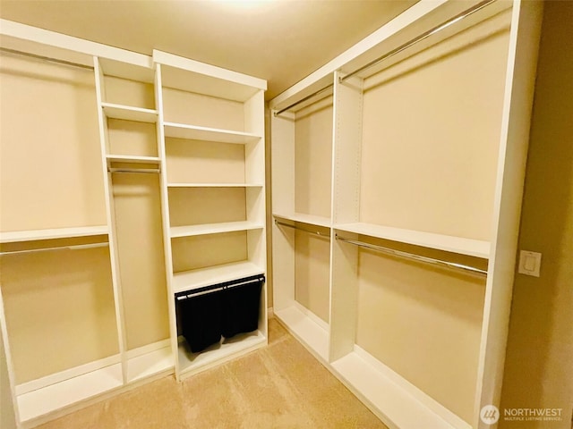 6802 156th Pl NE, Redmond, WA 98052 - view of spacious closet