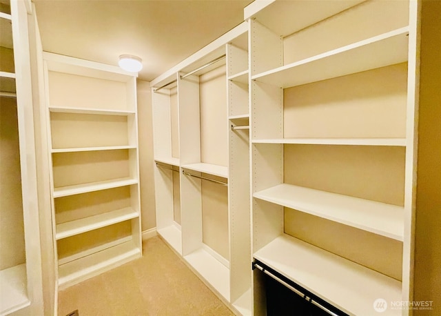 6802 156th Pl NE, Redmond, WA 98052 - spacious closet featuring light carpet