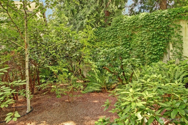 6802 156th Pl NE, Redmond, WA 98052 - view of nature