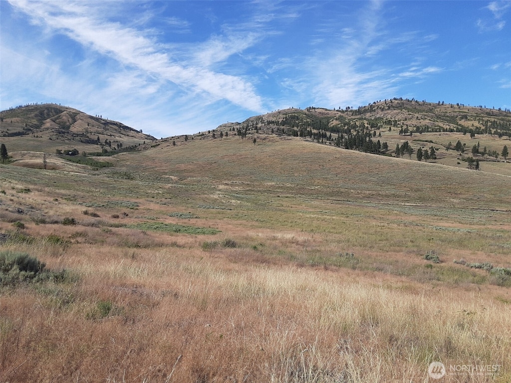 0 Hardy Rd, Tonasket, WA 98855 - photo 1