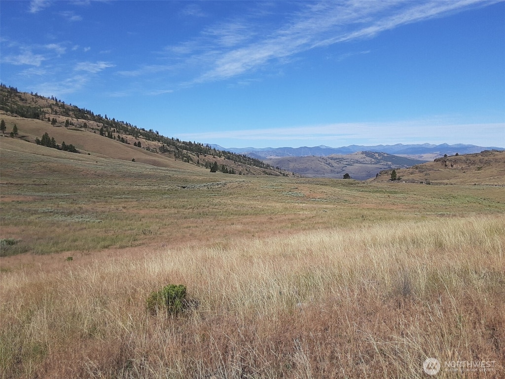 0 Hardy Rd, Tonasket, WA 98855 - photo 2