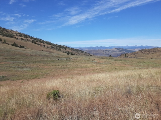 0 Hardy Rd, Tonasket, WA 98855 - photo 2