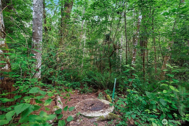 1511 Fairview St SE, Olympia, WA 98501