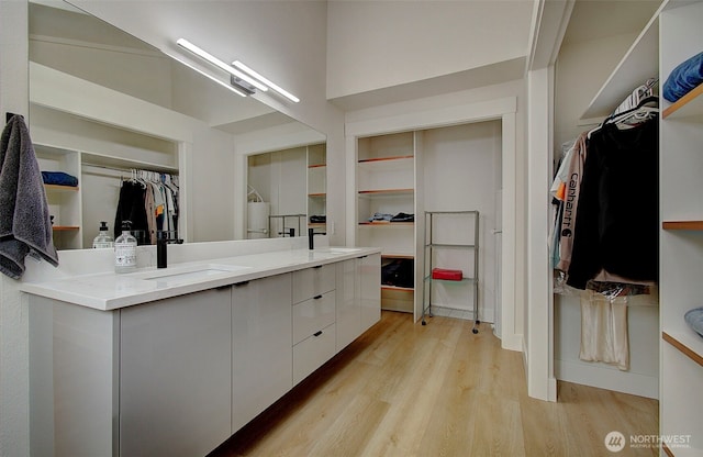 1611 NE 113th St Unit 421, Vancouver, WA 98686 - walk in closet featuring a sink and light wood-type flooring