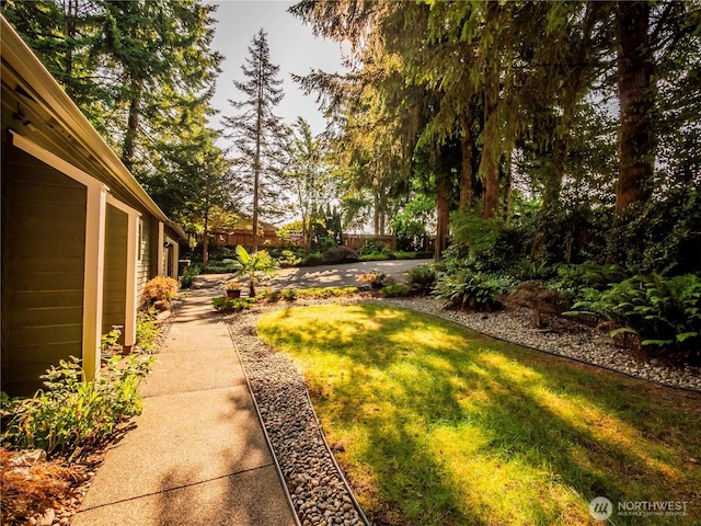 820 C St SW, Tumwater, WA 98512 - photo 6
