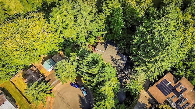 820 C St SW, Tumwater, WA 98512 - photo 36
