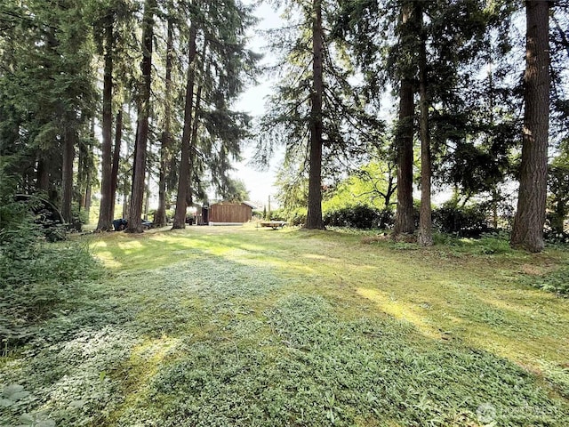 4905 US Highway 12, Elma, WA 98541 - view of grassy yard with a shed