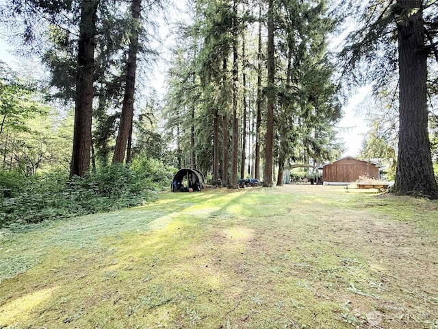 4905 US Highway 12, Elma, WA 98541 - view of green lawn
