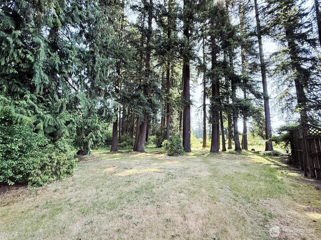 4905 US Highway 12, Elma, WA 98541 - view of green lawn