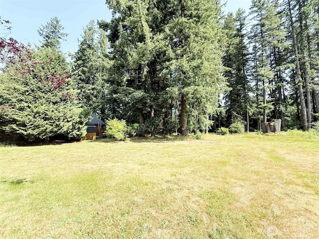 4905 US Highway 12, Elma, WA 98541 - view of green lawn