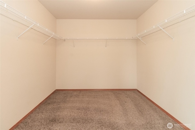 13814 174th Street Ct E, Puyallup, WA 98374 - photo 27