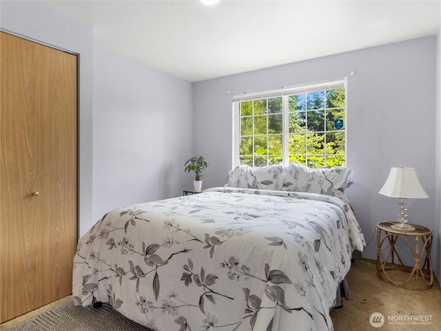 839 Avalon Ct SE, Olympia, WA 98513 - carpeted bedroom with a closet