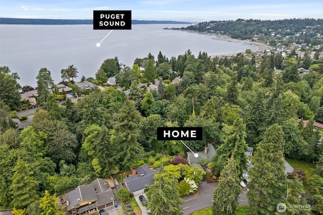 18961 Marine View Cir SW, Normandy Park, WA 98166 - photo 38