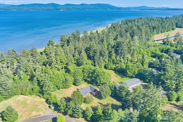 3800 199th Ct, Long Beach, WA 98631 - photo 34