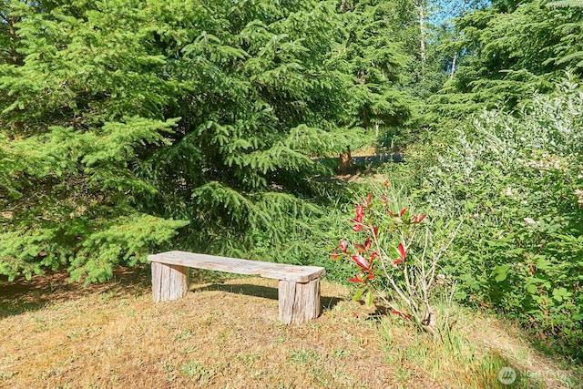 3800 199th Ct, Long Beach, WA 98631 - photo 27