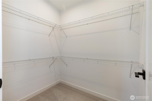 826 NE 95th St, Seattle, WA 98115 - walk in closet with light colored carpet