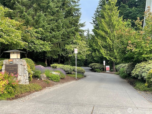 27235 SE Grand Ridge Dr, Issaquah, WA 98029 - photo 5