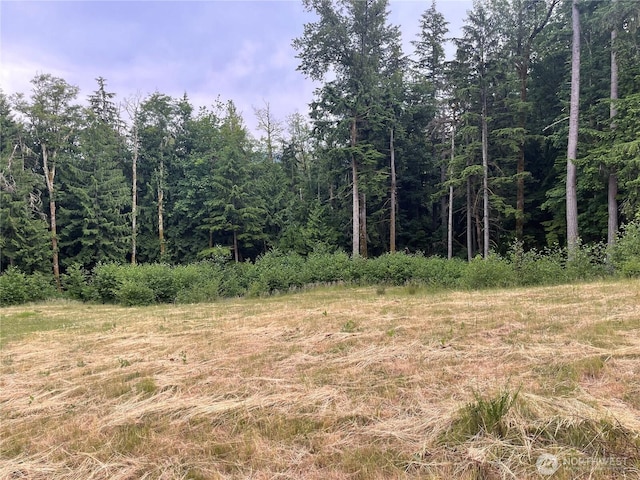 27235 SE Grand Ridge Dr, Issaquah, WA 98029 - photo 10