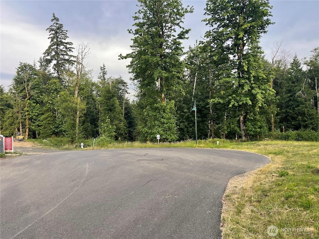 27235 SE Grand Ridge Dr, Issaquah, WA 98029 - photo 11