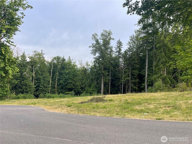 27235 SE Grand Ridge Dr, Issaquah, WA 98029 - photo 12