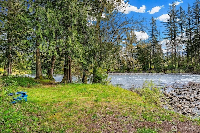43936 SE 127th Pl, North Bend, WA 98045 - view of yard featuring a water view and a wooded view