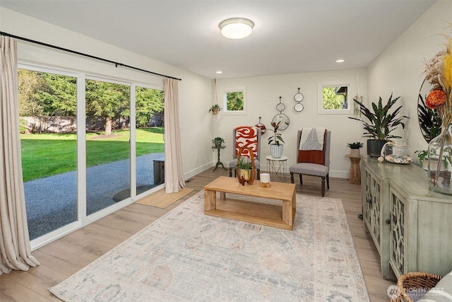 43936 SE 127th Pl, North Bend, WA 98045 - living area with light wood-style flooring and recessed lighting